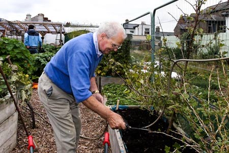 Free Community Compost 2026