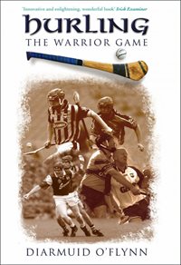 Hurling_Warrior_Game_pb.jpg