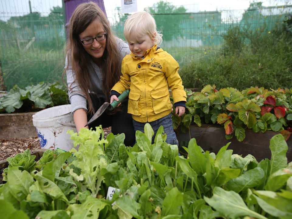 Free Community Composting